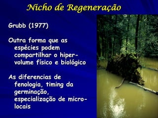 Nicho de Regeneração

Grubb (1977)

Outra forma que as
 espécies podem
 compartilhar o hiper-
 volume físico e biológico

As diferencias de
 fenologia, timing da
 germinação,
 especialização de micro-
 locais
 