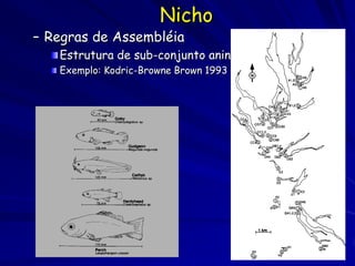Nicho
– Regras de Assembléia
   Estrutura de sub-conjunto aninhado
   Exemplo: Kodric-Browne Brown 1993
 