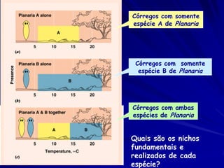 Córregos com somente
espécie A de Planaria




 Córregos com somente
  espécie B de Planaria




Córregos com ambas
espécies de Planaria


Quais são os nichos
fundamentais e
realizados de cada
espécie?
 
