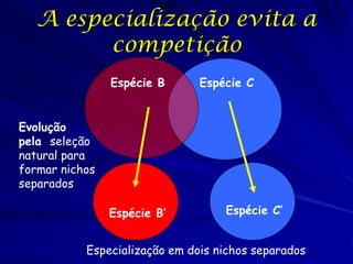 Efeitos sobre o nicho
      realizado de Mutualismos

Nicho
fundamental




Nicho
realizado

A competição e a exploração  ...
