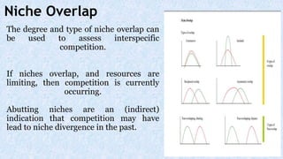 The degree and type of niche overlap can
be used to assess interspecific
competition.
If niches overlap, and resources are
limiting, then competition is currently
occurring.
Abutting niches are an (indirect)
indication that competition may have
lead to niche divergence in the past.
Niche Overlap
 