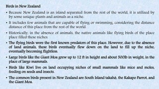 Birds in New Zealand
• Because New Zealand is an island separated from the rest of the world, it is utilized by
by some unique plants and animals as a niche.
• It includes few animals that are capable of flying or swimming, considering the distance
distance of this place from the rest of the world.
• Historically, in the absence of animals, the native animals like flying birds of the place
place filled these niches.
• The flying birds were the first known predators of this place. However, due to the absence
of land animals, these birds eventually flew down on the land to fill up the niche,
eventually becoming flightless.
• Large birds like the Giant Moa grew up to 12 ft in height and about 500lb in weight, in the
place of large mammals.
• Birds like Kiwi live on land occupying niches of small mammals like mice and moles,
feeding on seeds and insects.
• The common birds present in New Zealand are South Island takahē, the Kakapo Parrot, and
the Giant Moa.
 