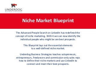 Niche Market Blueprint
The Advanced People Search on LinkedIn has redefined the
concept of niche marketing. With it we can now identify the
individual people who might be are best prospects.
This Blueprint lays out the essential elements
to a well-defined niche market.
Underdog Business Strategies teaches solopreneurs,
entrepreneurs, freelancers and commission-only sales reps
how to define their niche markets and use LinkedIn to
connect and meet their best prospects.
 