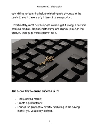 Niche market discovery | PDF