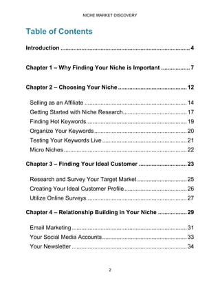 Niche market discovery for the beginner | PDF
