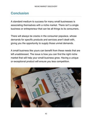 Niche market discovery for the beginner | PDF