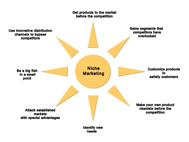 Niche marketing model