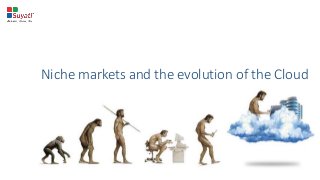 Niche markets and the evolution of the Cloud
 