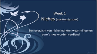 Week 1 Niches  (marktonderzoek) Een overzicht van niche markten waar miljoenen euro’s mee worden verdiend 