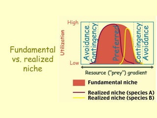 Fundamental
vs. realized
niche
 