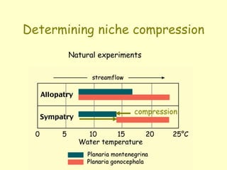Determining niche compression
Natural experiments
compression
 