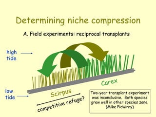 Determining niche compression
A. Field experiments: reciprocal transplants
low
tide
high
tide
Two-year transplant experiment
was inconclusive. Both species
grew well in other species zone.
(Mike Pidwirny)
 