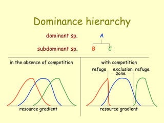 Dominance hierarchy
A
B C
dominant sp.
subdominant sp.
resource gradient
in the absence of competition with competition
refuge exclusion refuge
zone
resource gradient
 