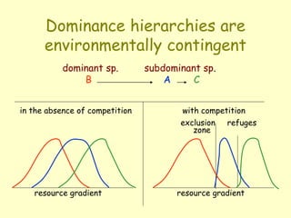 Dominance hierarchies are
environmentally contingent
dominant sp. subdominant sp.
B A C
resource gradient
in the absence of competition with competition
exclusion refuges
zone
resource gradient
 