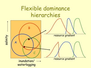 Flexible dominance
hierarchies
resource gradient
resource gradient
inundation/
waterlogging
salinity
B
A
C
 