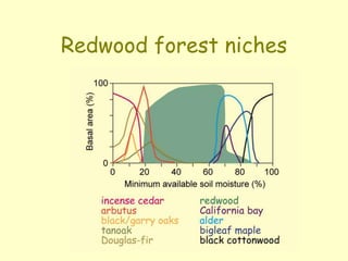 Redwood forest niches
 