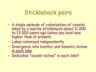 Stickleback pairs
• A single episode of colonization of coastal
lakes by a marine stickleback about 11 000
to 13 000 years ago (when sea level was
higher than at present.
• Lakes colonized independently
• Divergence into benthic and limnetic niches
in each lake
• Indicates “vacant niches” in each lake?
 
