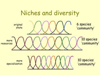 Niches and diversity
6 species
‘community’
10 species
‘community’
original
state
more
resources
10 species
‘community’
more
specialization
 