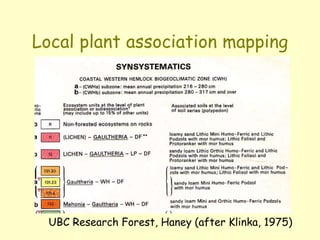 Local plant association mapping
UBC Research Forest, Haney (after Klinka, 1975)
 