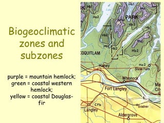 Biogeoclimatic
zones and
subzones
purple = mountain hemlock;
green = coastal western
hemlock;
yellow = coastal Douglas-
fir
 