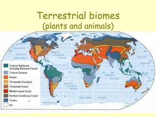 Terrestrial biomes
(plants and animals)
 