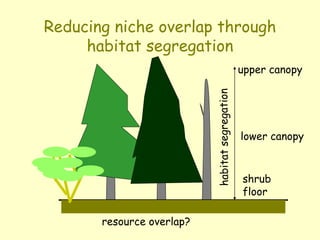 Reducing niche overlap through
habitat segregation
upper canopy
lower canopy
shrub
floor
resource overlap?
 