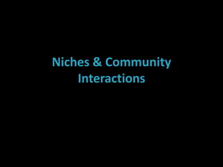 Niches & Community
Interactions
 