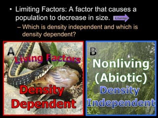 • Limiting Factors: A factor that causes a
population to decrease in size.
– Which is density independent and which is
density dependent?
 