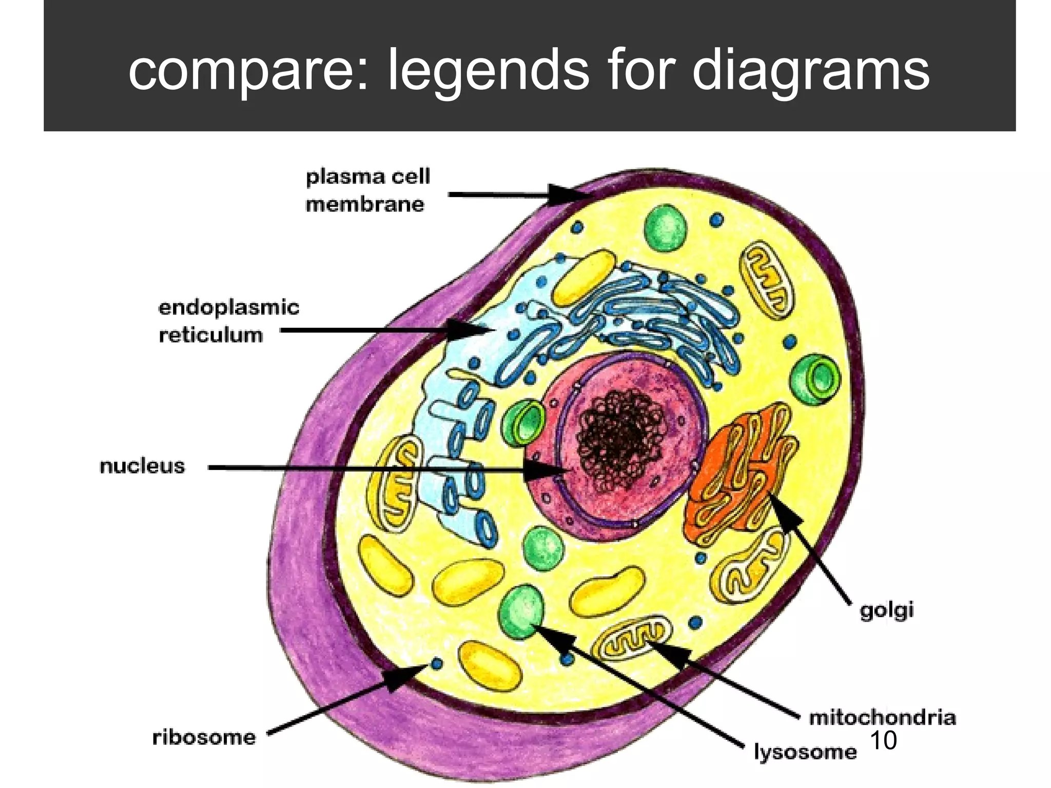 10
compare: legends for diagrams
 