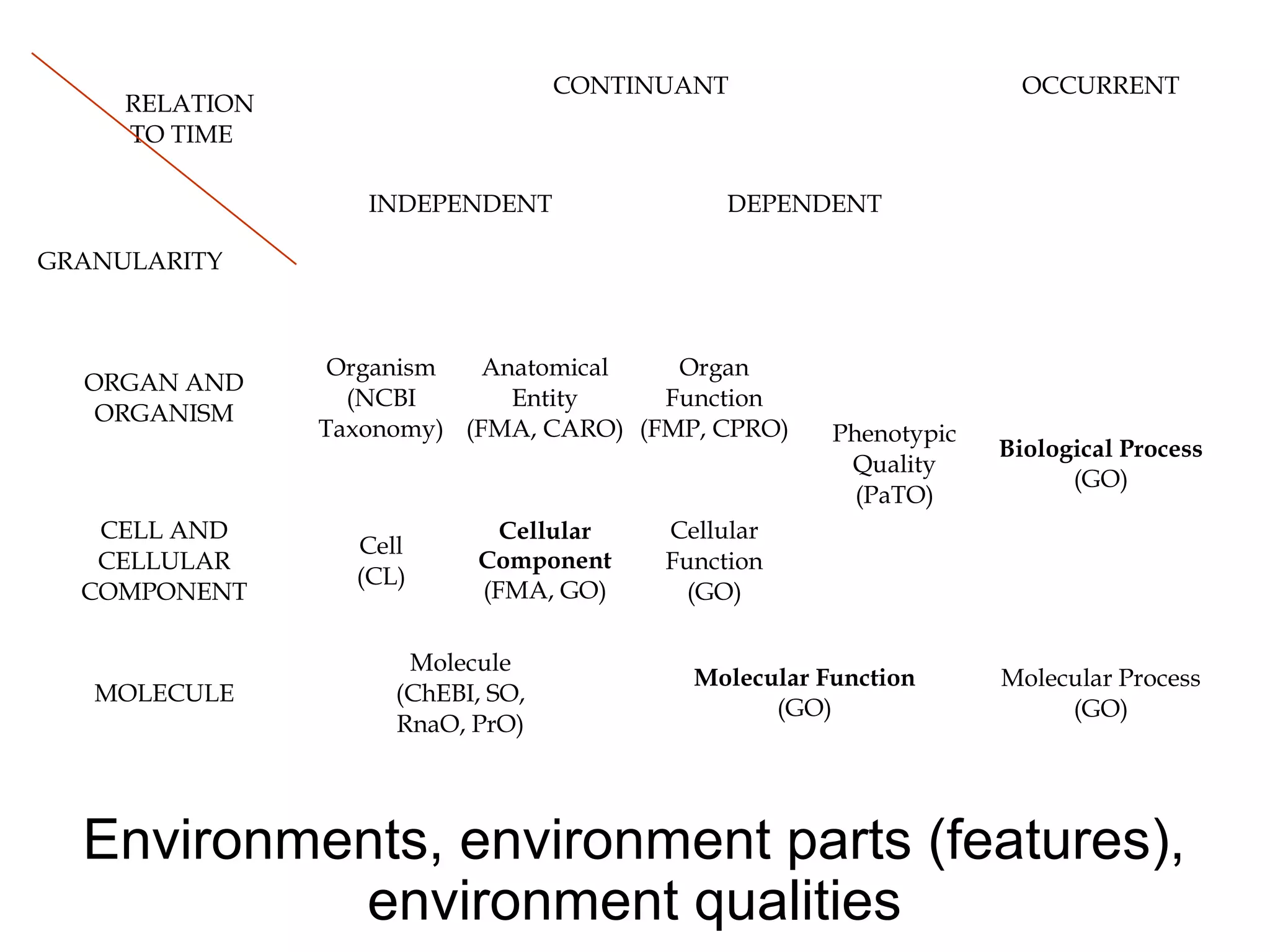106
RELATION
TO TIME
GRANULARITY
CONTINUANT OCCURRENT
INDEPENDENT DEPENDENT
ORGAN AND
ORGANISM
Organism
(NCBI
Taxonomy)
Anatomical
Entity
(FMA, CARO)
Organ
Function
(FMP, CPRO) Phenotypic
Quality
(PaTO)
Biological Process
(GO)
CELL AND
CELLULAR
COMPONENT
Cell
(CL)
Cellular
Component
(FMA, GO)
Cellular
Function
(GO)
MOLECULE
Molecule
(ChEBI, SO,
RnaO, PrO)
Molecular Function
(GO)
Molecular Process
(GO)
Environments, environment parts (features),
environment qualities
 