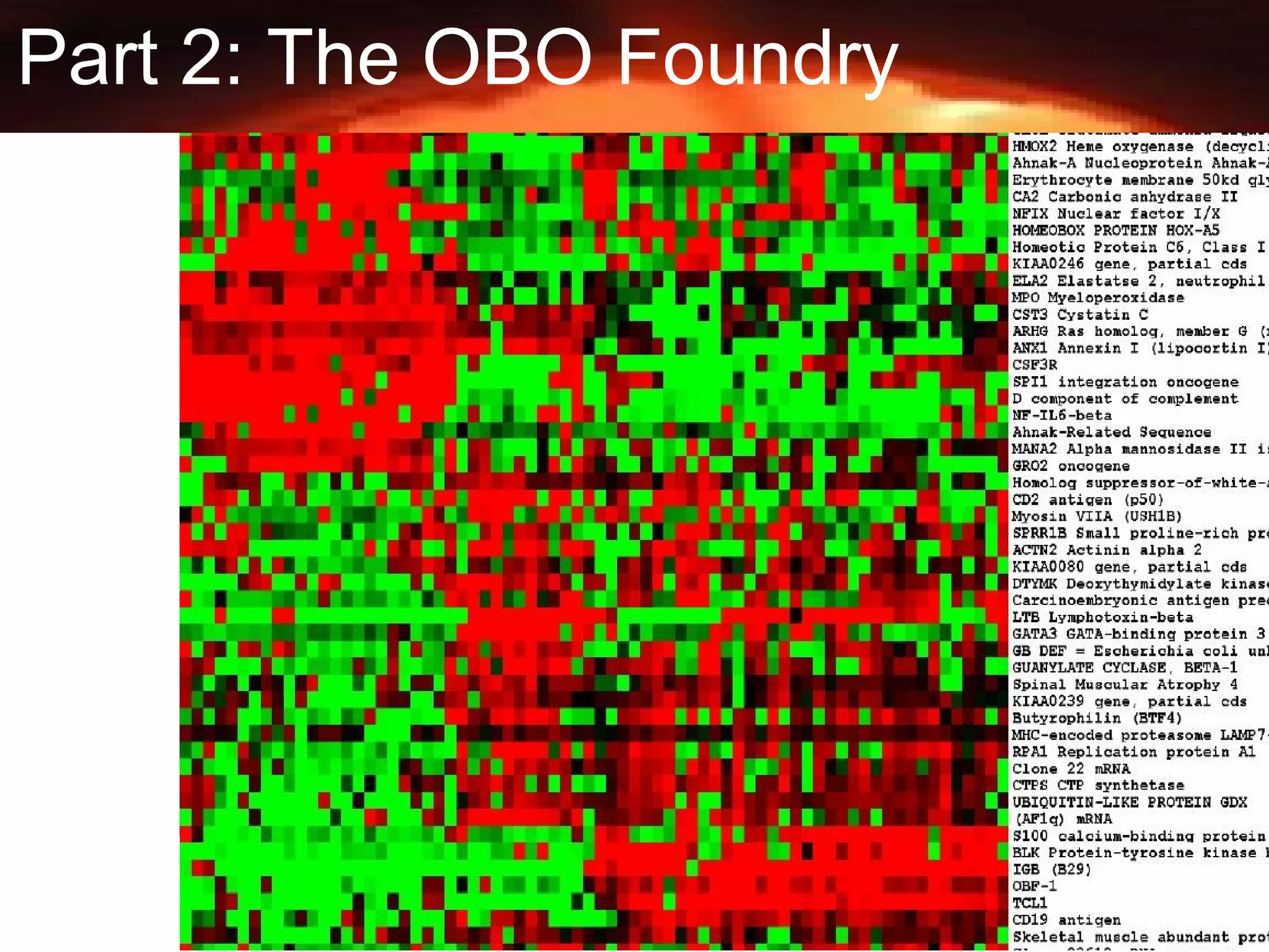 28
Part 2: The OBO Foundry
 