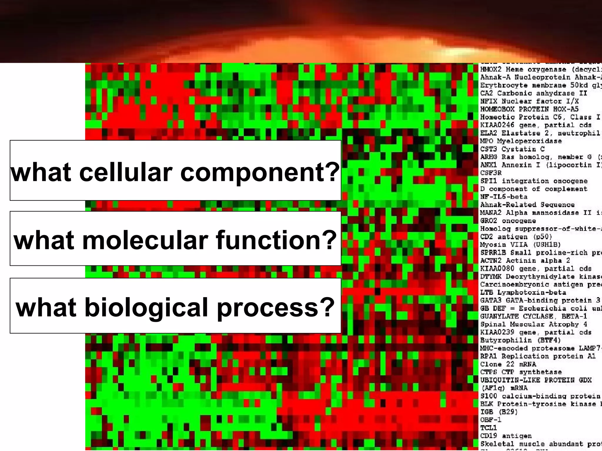 29
what cellular component?
what molecular function?
what biological process?
 