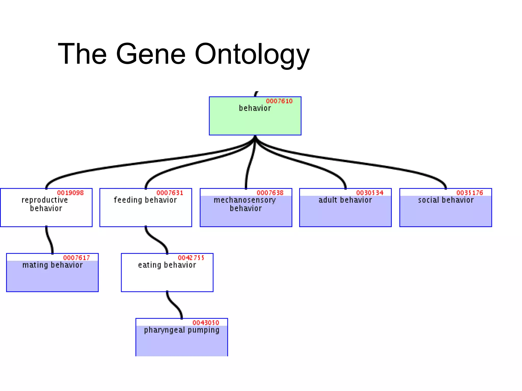 The Gene Ontology
 