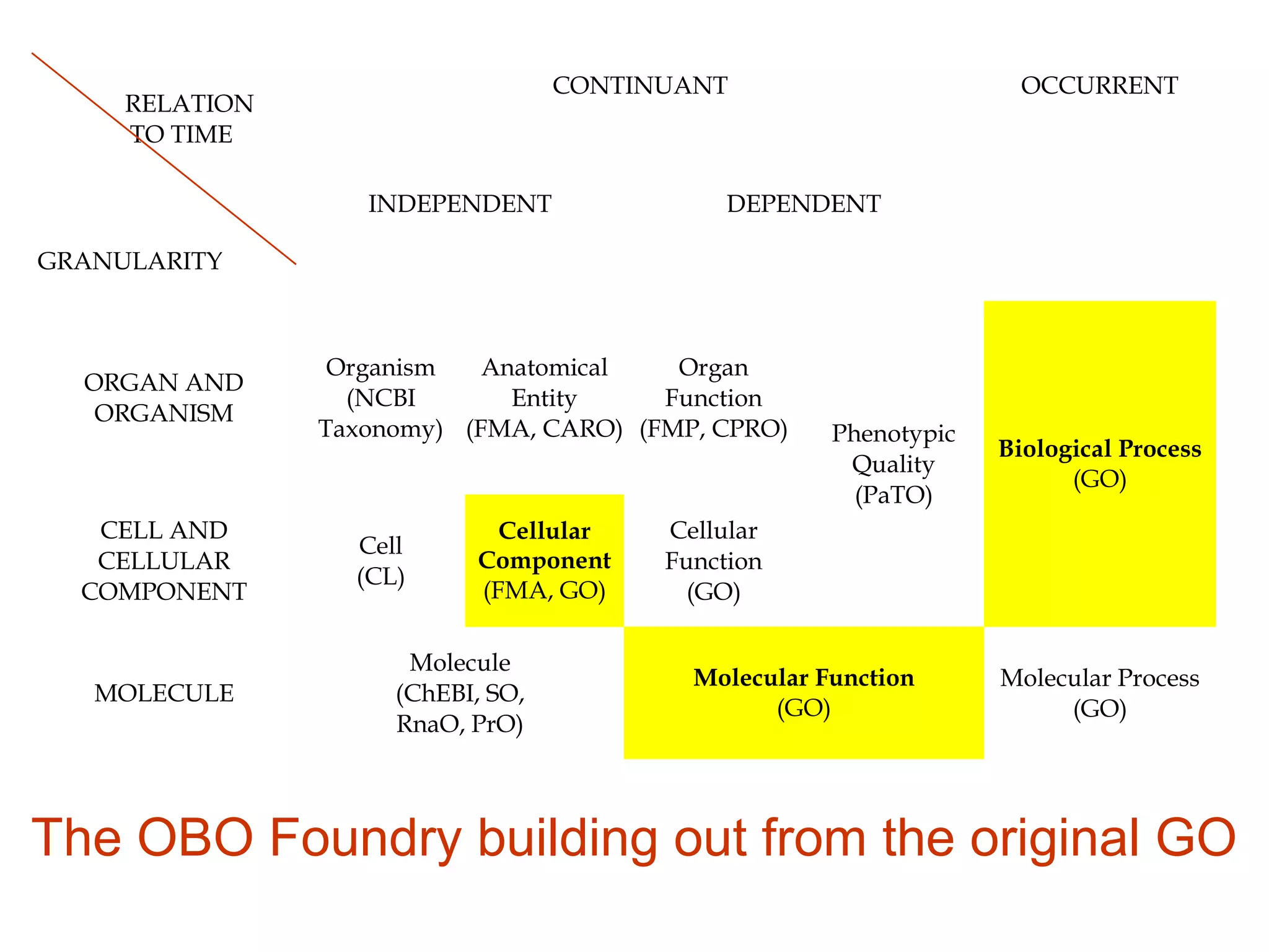 35
RELATION
TO TIME
GRANULARITY
CONTINUANT OCCURRENT
INDEPENDENT DEPENDENT
ORGAN AND
ORGANISM
Organism
(NCBI
Taxonomy)
Anatomical
Entity
(FMA, CARO)
Organ
Function
(FMP, CPRO) Phenotypic
Quality
(PaTO)
Biological Process
(GO)
CELL AND
CELLULAR
COMPONENT
Cell
(CL)
Cellular
Component
(FMA, GO)
Cellular
Function
(GO)
MOLECULE
Molecule
(ChEBI, SO,
RnaO, PrO)
Molecular Function
(GO)
Molecular Process
(GO)
The OBO Foundry building out from the original GO
 
