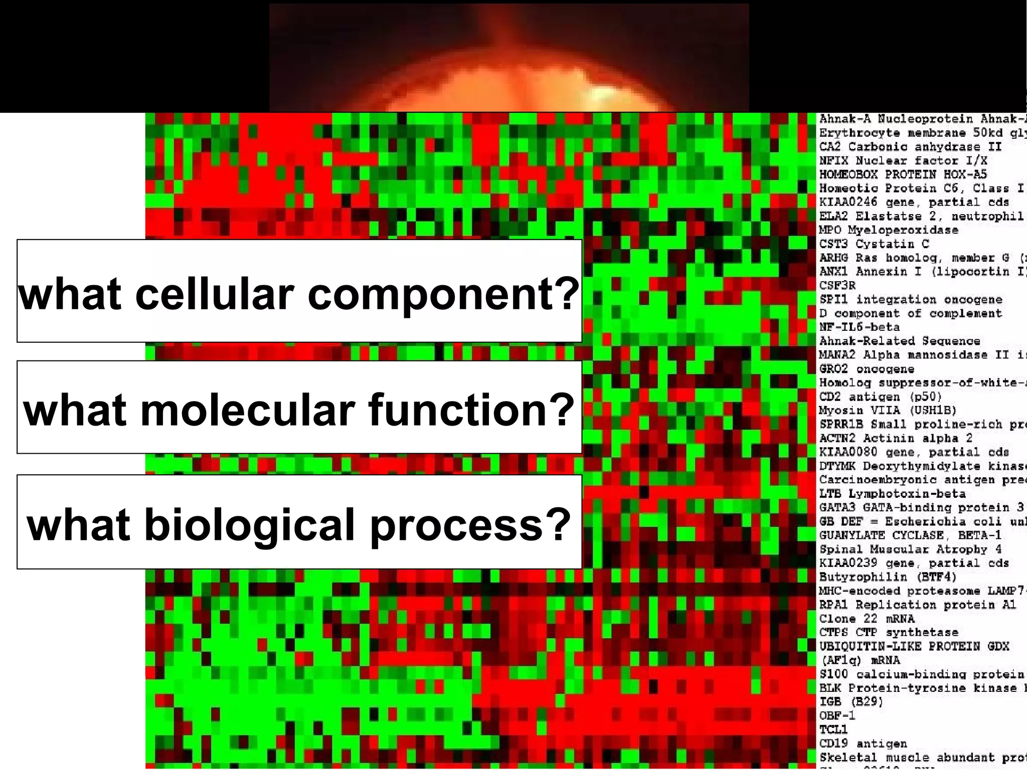 5
what cellular component?
what molecular function?
what biological process?
 