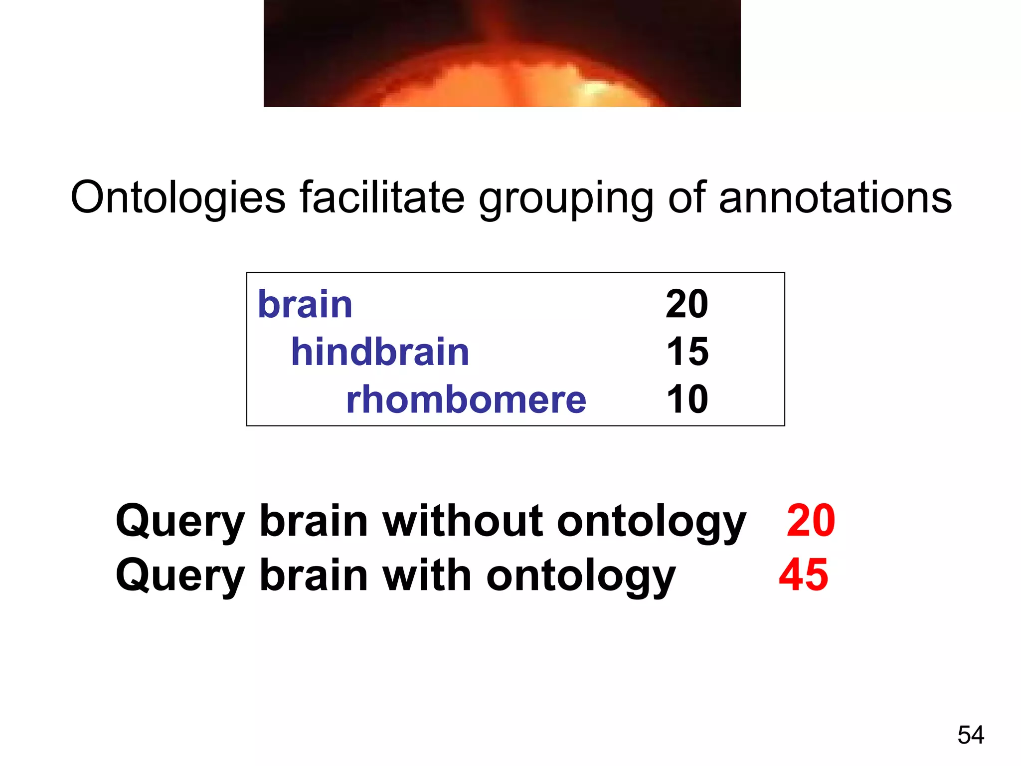 Ontologies facilitate grouping of annotations
brain 20
hindbrain 15
rhombomere 10
Query brain without ontology 20
Query brain with ontology 45
54
 