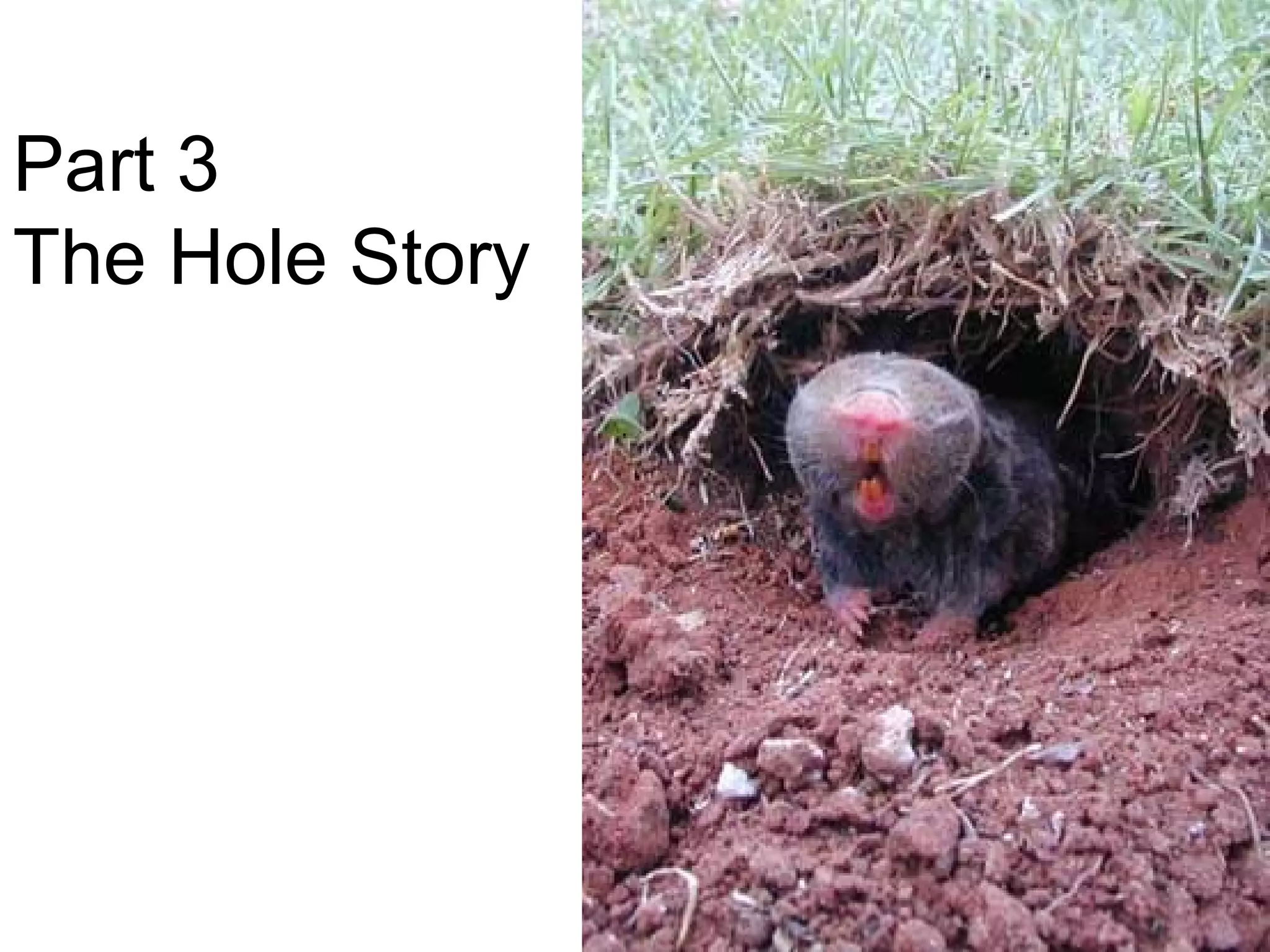 Part 3
The Hole Story
 