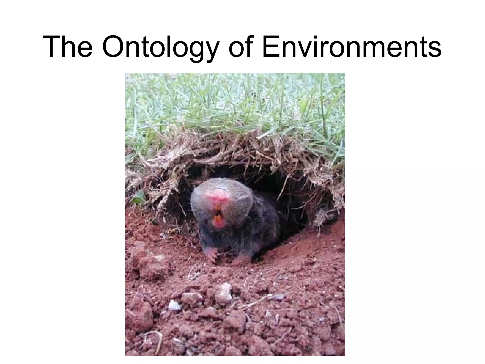 The Ontology of Environments
 