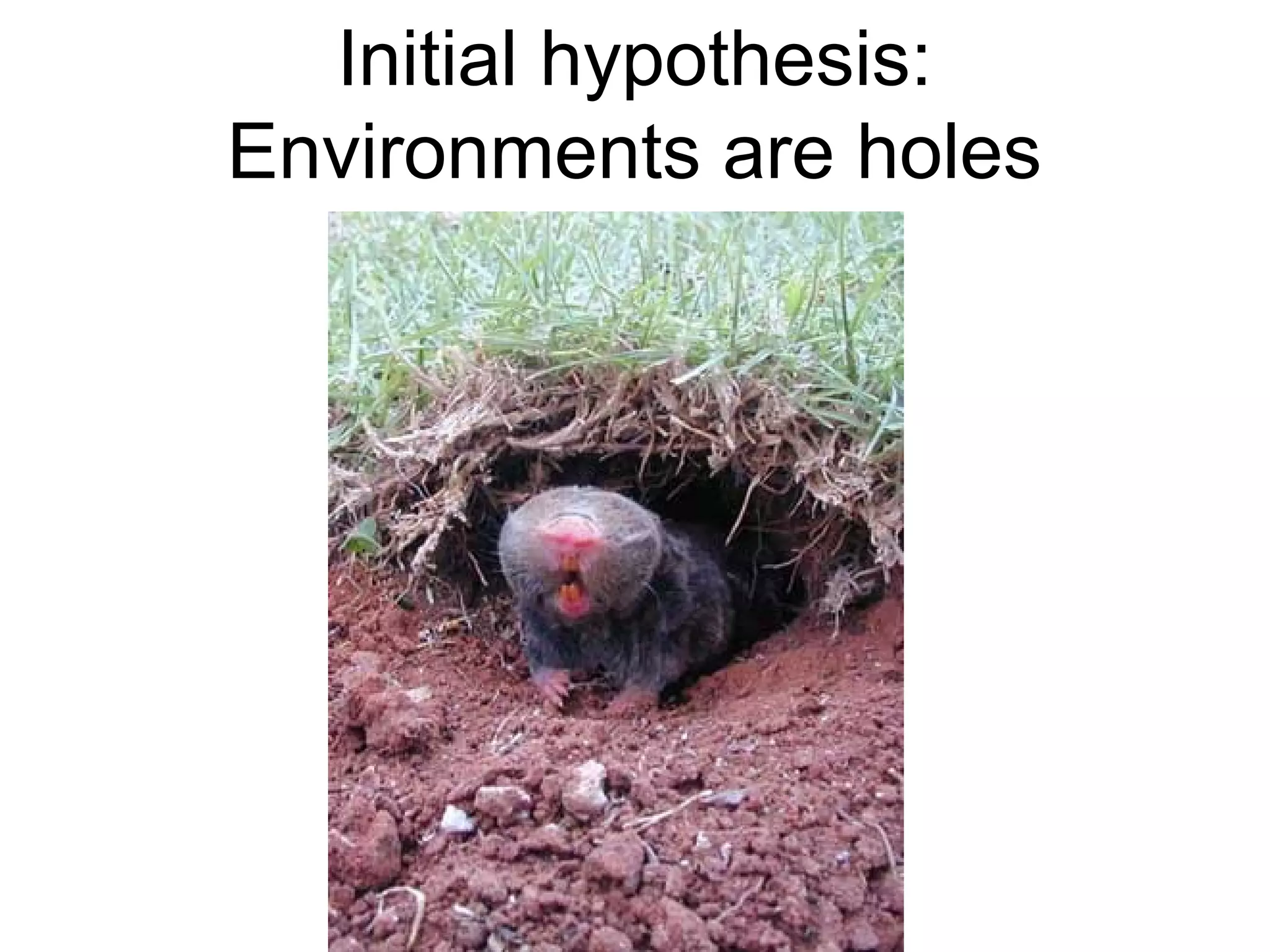 Initial hypothesis:
Environments are holes
 