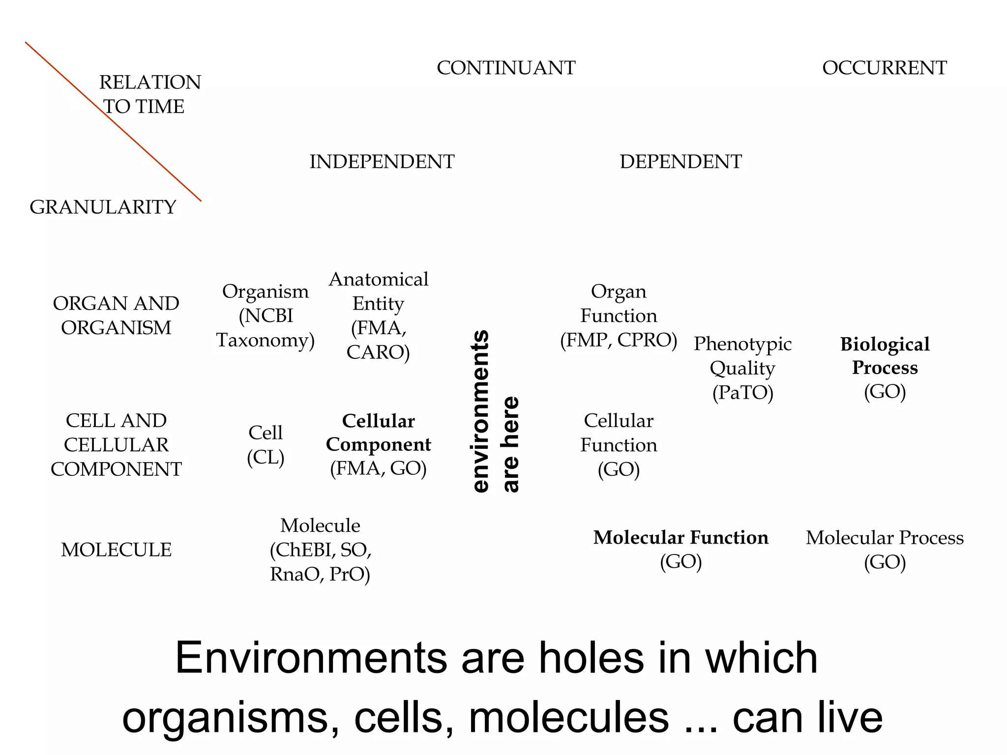 68
RELATION
TO TIME
GRANULARITY
CONTINUANT OCCURRENT
INDEPENDENT DEPENDENT
ORGAN AND
ORGANISM
Organism
(NCBI
Taxonomy)
Anatomical
Entity
(FMA,
CARO)
Organ
Function
(FMP, CPRO) Phenotypic
Quality
(PaTO)
Biological
Process
(GO)
CELL AND
CELLULAR
COMPONENT
Cell
(CL)
Cellular
Component
(FMA, GO)
Cellular
Function
(GO)
MOLECULE
Molecule
(ChEBI, SO,
RnaO, PrO)
Molecular Function
(GO)
Molecular Process
(GO)
Environments are holes in which
organisms, cells, molecules ... can live
environments
arehere
 