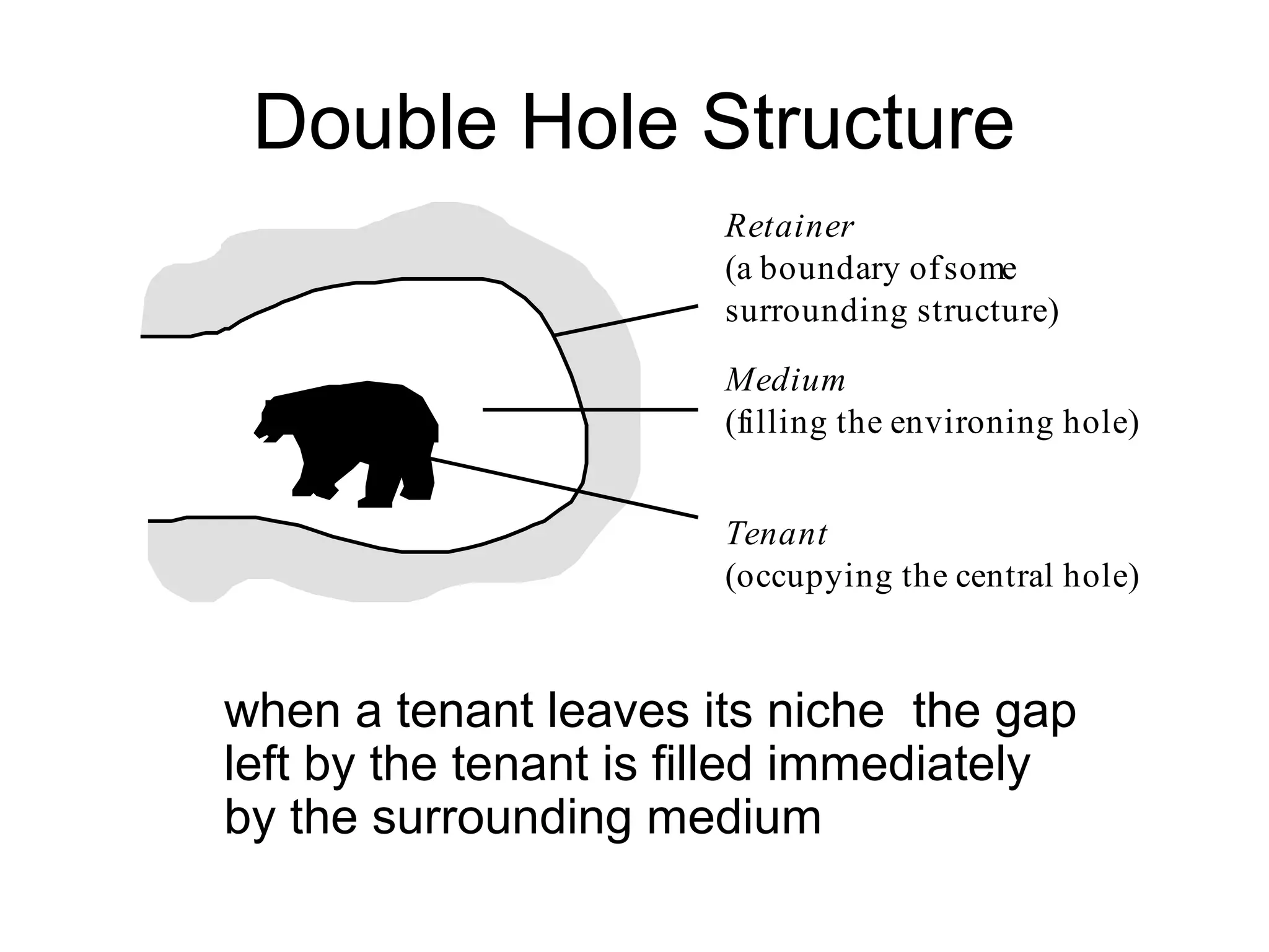 Double Hole Structure
Medium
(filling the environing hole)
Tenant
(occupying the central hole)
Retainer
(a boundary ofsome
surrounding structure)
when a tenant leaves its niche the gap
left by the tenant is filled immediately
by the surrounding medium
 