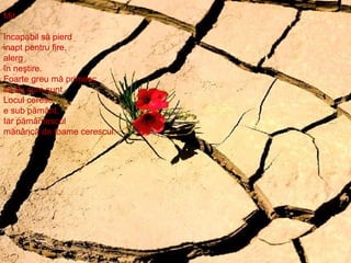 Mit  Incapabil să pierd inapt pentru fire, alerg în neştire. Foarte greu mă primesc să fiu cum sunt. Locul ceresc e sub pământ. Iar pământescul mănâncă de foame cerescul. 