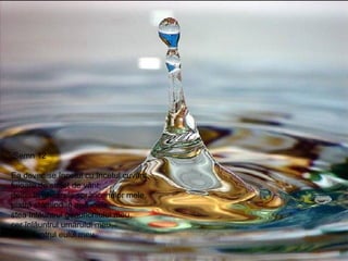 Semn 12  Ea devenise încetul cu încetul cuvânt, fuioare de suflet de vânt, delfin în ghearele sprâncenelor mele, piatră stârnind în apă inele, stea înlăuntrul genunchiului meu, cer înlăuntrul umărului meu, eu înlăuntrul eului meu. 