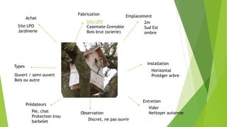 Achat
Fabrication Emplacement
Installation
Entretien
Observation
Prédateurs
Types
2m
Sud Est
ombre
Horizontal
Protéger arbre
Vider
Nettoyer automne
Discret, ne pas ouvrir
Pie, chat
Protection trou
barbelet
Ouvert / semi ouvert
Bois ou autre
Site LPO
Jardinerie
Site LPO
Casemate Grenoble
Bois brut (scierie)
 