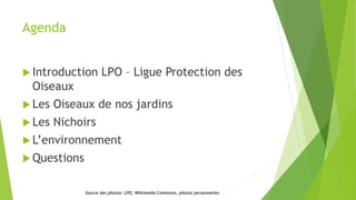 Agenda
 Introduction LPO – Ligue Protection des
Oiseaux
 Les Oiseaux de nos jardins
 Les Nichoirs
 L’environnement
 Questions
Source des photos: LPO, Wikimedia Commons, photos personnelles
 