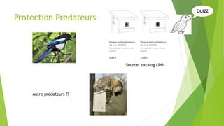 Protection Predateurs
Source: catalog LPO
QUIZZ
Autre prédateurs ??
 