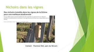 Nichoirs dans les vignes
Contact – Florence Niel, parc du Vercors
 