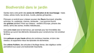 Biodiversité dans le jardin
Gardez dans votre jardin des zones de nidification et de nourrissage : haies
mixtes, arbres morts, tas de bois, murets, plantes grimpantes…
Prévoyez un endroit pour y laisser pousser des fleurs (tournesol, phacélie,
echinops, lin, scabieuse, cosmos, centaurée…) qui pourront fournir
des graines pendant l’hiver aux oiseaux : verdiers d’Europe, pinsons des
arbres, tarins des aulnes, linottes mélodieuses…
Une petite mare sera la bienvenue, par exemple pour les hirondelles des
fenêtres qui auront les éléments nécessaires pour construire leur nid constitué
de boue.
Une pelouse un peu haute attirera de nombreux insectes, et donc des
oiseaux, et supportera mieux les épisodes de sécheresse.
Des arbres fruitiers, des arbustes à feuillage dense, des végétaux variés
permettront eux aussi une biodiversité importante.
 