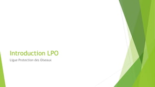 Introduction LPO
Ligue Protection des Oiseaux
 