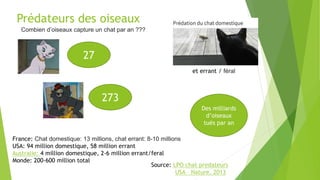 Prédateurs des oiseaux
Combien d’oiseaux capture un chat par an ???
Source: LPO chat predateurs
USA – Nature, 2013
France: Chat domestique: 13 millions, chat errant: 8-10 millions
USA: 94 million domestique, 58 million errant
Australie: 4 million domestique, 2-6 million errant/feral
Monde: 200-600 million total
Des milliards
d’oiseaux
tués par an
et errant / féral
27
273
 
